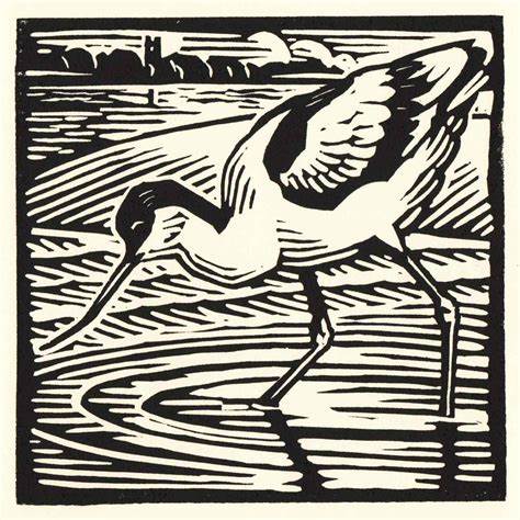 Avocet Greeting Card
