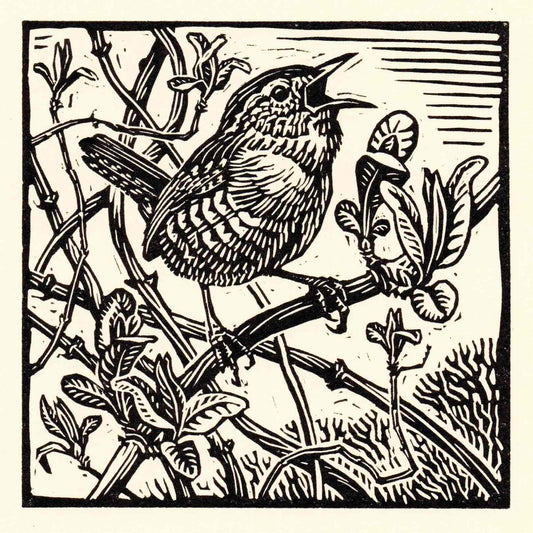 Wren Greeting Card