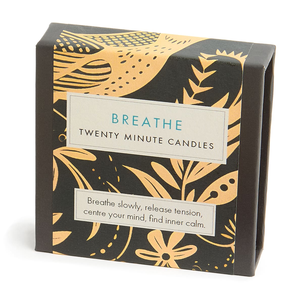 20 Minute Candles - Breathe (Folk)