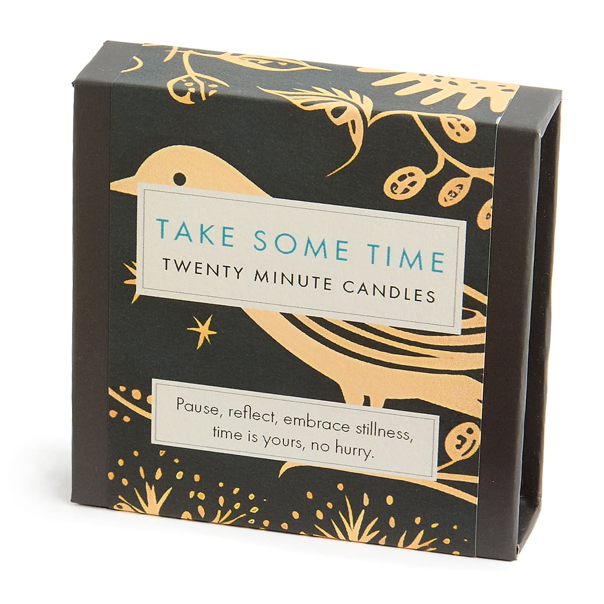 20 Minute Candles - Take Some Time (Folk)