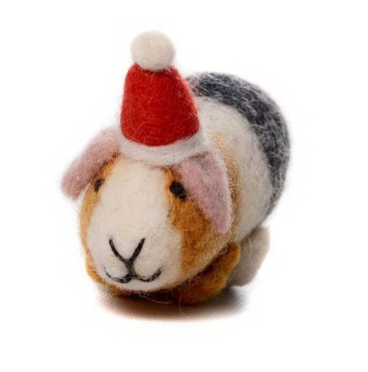 Guinea Pig With Hat