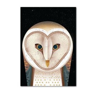 Barn Owl by Dieter Braun